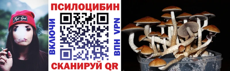 Псилоцибиновые грибы GOLDEN TEACHER  мориарти клад  Можга 